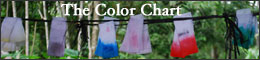 The Color Chart